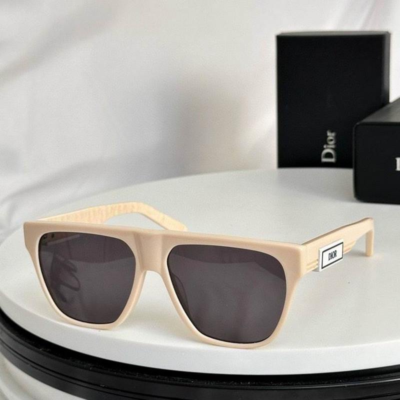 DIOR Sunglasses 490